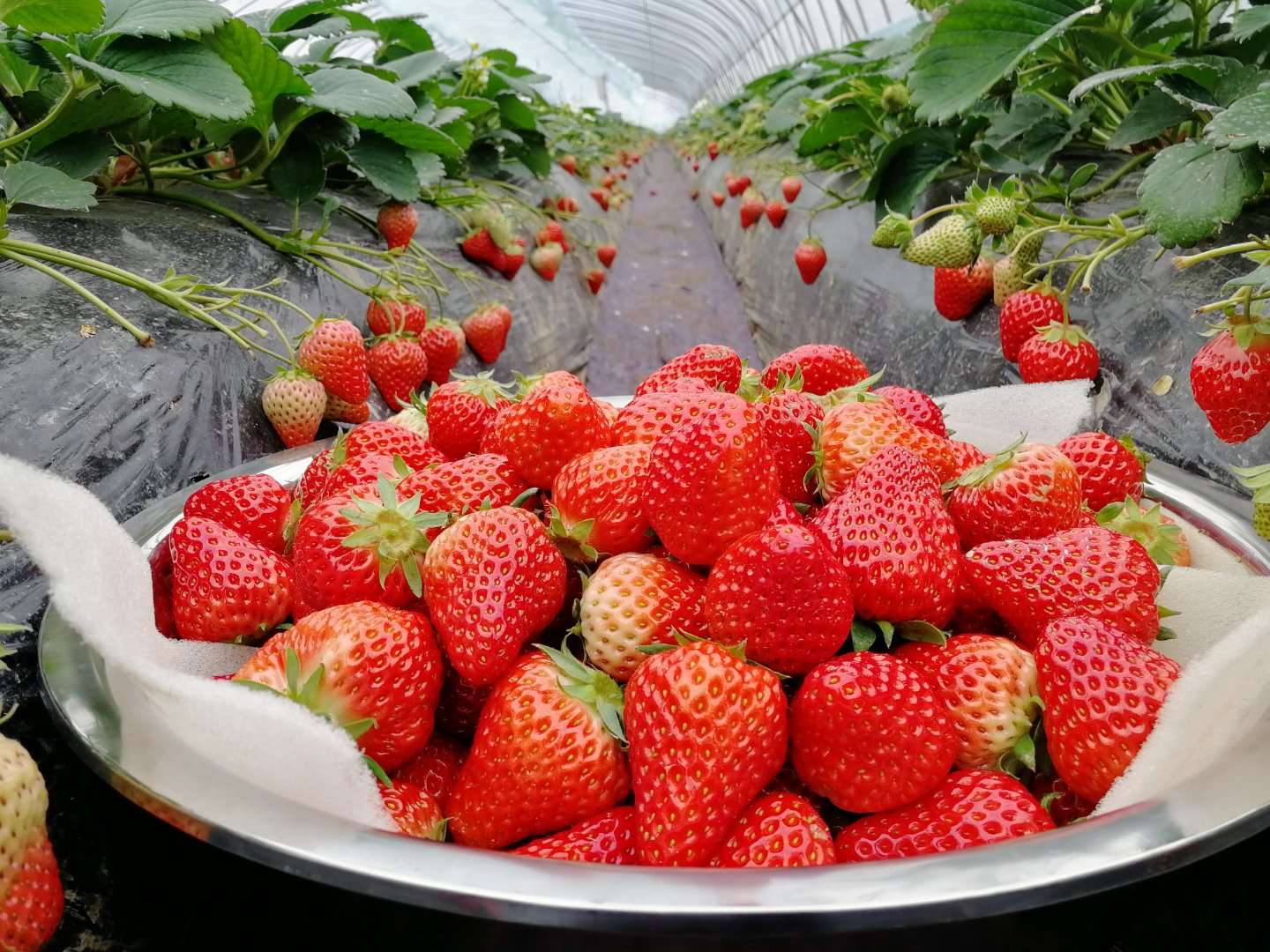 ʹݮֵcıǈԶƵĘ˜ʻ