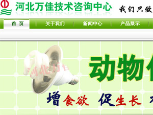 萬佳咨詢網(wǎng)站建設