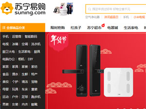 蘇寧易購網(wǎng)站建設(shè)