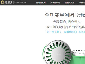 金德爾地漏網(wǎng)站建設(shè)