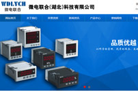 微電聯(lián)合（湖北）科技有限公司網(wǎng)站建設(shè)