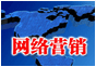 網(wǎng)絡(luò)營銷 網(wǎng)絡(luò)營銷